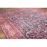 Conceptum Hypnose Blues Chenille - Crveni AL 354 Višenamenski Tepih (210 x 310 cm) | Eponuda.com