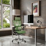MID.YOU Pisarniški Stol Ergohuman Slim I, Zelena | Shoptok.si