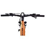 Capriolo Volta 9.4 E-bike 29'' bronzani (926800-16.5) | Eponuda.com
