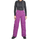 Peak Mountain Hlače Pantalon de ski femme APIX Vijolična Cene
