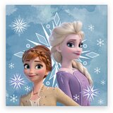 Darymex Otroška brisača iz frotirja 30x30 Frozen, (22025235) | Shoptok.si