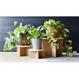 Esschert Design Stojalo za cvetlične lonce iz bambusa ø 18 cm – | Shoptok.si