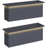  Vrtna posuda za sadnju s LED svjetlom 2 kom. Antracit - Antracit 30 x 100 x 30 cm 2 | shoptok.hr