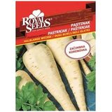  Pastrnjak Dugi Bijeli Maxi Royal Seeds | Eponuda.ba