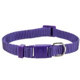  ogrlica za mace premium ljubičasta | ePonuda.com