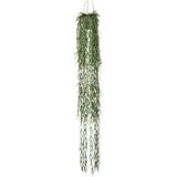 XXXL Umetna Rastlina Tillandsia Ii -Paz- Cene