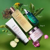 Fresh Tea Elixir Resilience Activating Serum aktivacijski serum 30 ml | shoptok.hr