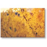  Slike na platnu cveće (moderne slike na platnu) | ePonuda.com