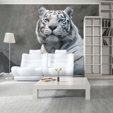  Tapeta - Bengali tiger in zoo 200x154 | shoptok.hr