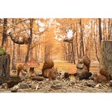 Esschert Design Vrtna figurica iz poliresina Squirrel – | Shoptok.si