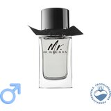 Burberry Mr. - 100ml | Eponuda.ba