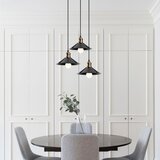 Opviq Berceste - 250-S2 Black Chandelier Cene