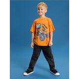 Sinsay Pamučna majica s printom Hot Wheels Cijene