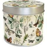Sköna Ting Dišeča sveča "Schmetterling-Wiese" - vonj limone Cene