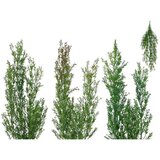  DEKORATIVNO BILJE 80CM PVC | Eponuda.ba