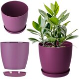 KADAX Pokrov za cvetlični lonec s krožnikom vijoličen za dnevno sobo 12 cm, (5000345980) | Shoptok.si