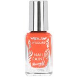 Barry M lak za nohte - Wildlife Nail Paint - Coral Reef | Shoptok.si