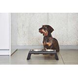 MiaCara kovinski komplet posod s podstavkom za pse desco black s | Shoptok.si