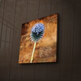 Wallity Zidna slika sa LED osvetljenjem 4040IACT-45, 40x40 cm | Eponuda.ba