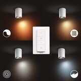 Philips LED prigušiva spot svetiljka Hue PILLAR 1xGU10/4,2W/230V bela | Eponuda.com