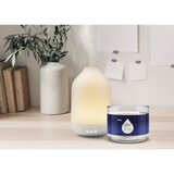 Glade Aromatherapy Pure Happiness nadomestno polnilo za aroma difuzor Orange + Neroli 17,4 ml | Shoptok.si