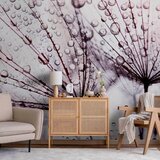 Artgeist FOTOTAPETA | Shoptok.si