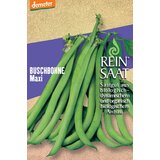 ReinSaat Fižol grmičar "Maxi" Cene