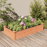 vidaXL Vrtna visoka greda s podlogo rjava 120x60x25 cm trden les jelke | Shoptok.si