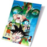 Dragon Ball 3D poster Super Shenron i junaci, 40 x 60 cm Cijene