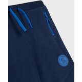 Sinsay Jogger hlače | shoptok.hr