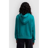 Billabong Family Pulover s kapuco ivy | Shoptok.si