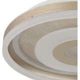 Globo 48571-24 - LED plafonska svetiljka CARDENAS LED/24W/230V 3000K prečnika 40 cm | Eponuda.com
