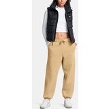 Under Armour Women's pants UA Icon HWT Flc OS Pant-BRN - Women's | shoptok.hr