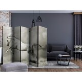 Artgeist Paravan Wild Stallion I, 5-Delni, Dvostranski | Shoptok.si
