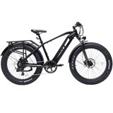BODYWEL Potovalno električno kolo D6, debele pnevmatike, 48V 13,5Ah, črno, (5000234316) | Shoptok.si