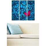 Wallity Set slika MDF210081253, 3 dijela | Eponuda.ba