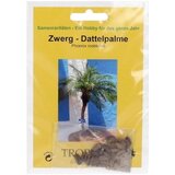 TROPICA Pritlikava datljeva palma Cene