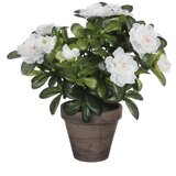 MICA Umjetna biljka Azalea (Visina: 27 cm, Bijele boje, Plastika) Cijene