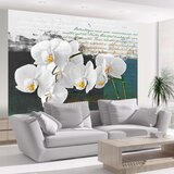  Tapeta - Orchid - poet's inspiration 350x270 Cijene