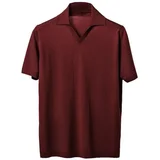 Lanaioli Polo Uomo in lana merino extrafine Bordo