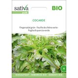 Sativa Bio solata zelena "Cocarde" Cene