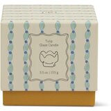 Paddywax Tulip Wisteria & Willow mirisna svijeća 155 g | shoptok.hr