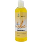 Velnea šampon za kosu pšenica 500ml Cene'.'