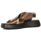 Maciejka 0603102001 Gold | shoptok.hr