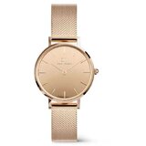 Daniel Wellington dw00100795 petite mirror Cene