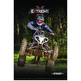 STREET Zvezek A4 1, visoki karo, 48 listov, sortirano, 1 kos | Shoptok.si