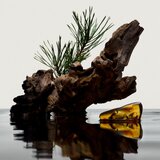 Burberry Hero Eau de Parfum parfemska voda za muškarce 150 ml | shoptok.hr