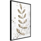  Poster - Dried Twig 40x60 | shoptok.hr