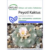  Pejotl kaktus - 1 pkt. Cene