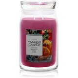 Yankee Candle Jingle Mingle mirisna svijeća 567 g Cijene